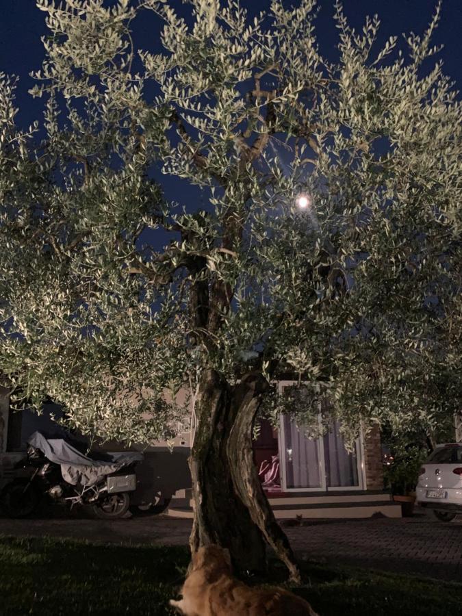Locazione Turistica Casa Olivo Appartement Fucecchio Buitenkant foto