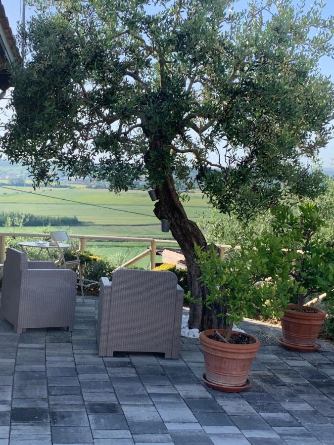 Locazione Turistica Casa Olivo Appartement Fucecchio Buitenkant foto