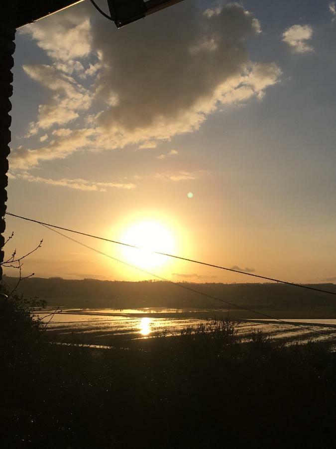 Locazione Turistica Casa Olivo Appartement Fucecchio Buitenkant foto