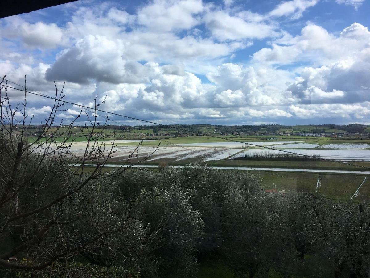 Locazione Turistica Casa Olivo Appartement Fucecchio Buitenkant foto